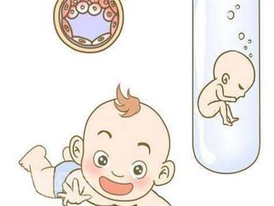 胚胎操作